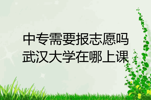中专需要报志愿吗武汉大学在哪上课