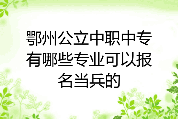 鄂州公立中职中专有哪些专业可以报名当兵的
