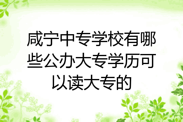 咸宁中专学校有哪些公办大专学历可以读大专的