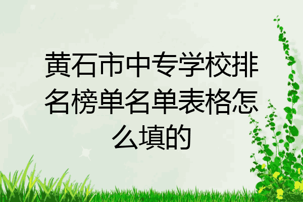 黄石市中专学校排名榜单名单表格怎么填的