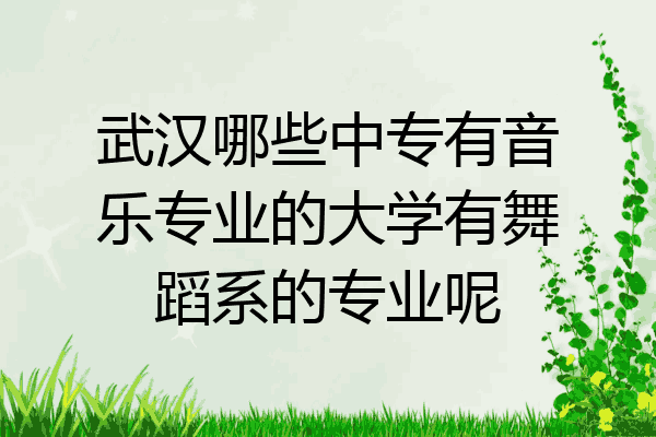武汉哪些中专有音乐专业的大学有舞蹈系的专业呢