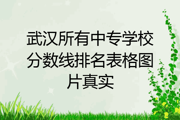 武汉所有中专学校分数线排名表格图片真实