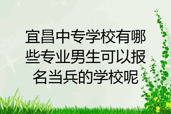 宜昌中专学校有哪些专业男生可以报名当兵的学校呢