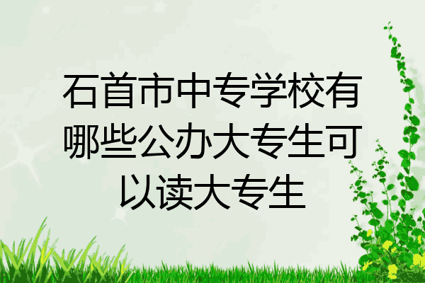 石首市中专学校有哪些公办大专生可以读大专生