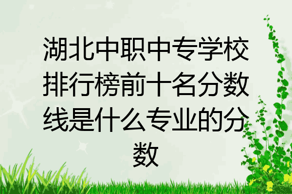 湖北中职中专学校排行榜前十名分数线是什么专业的分数