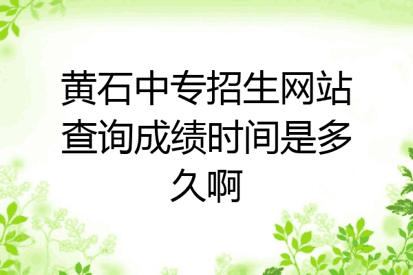 黄石中专招生网站查询成绩时间是多久啊