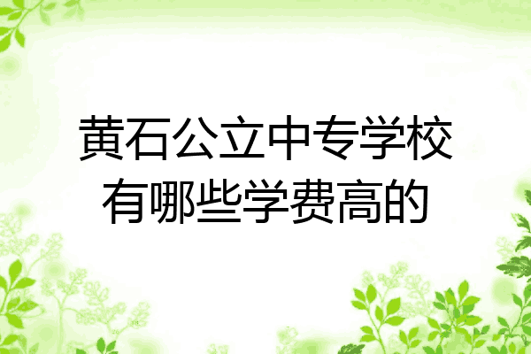 黄石公立中专学校有哪些学费高的