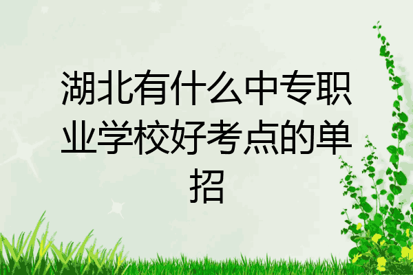 湖北有什么中专职业学校好考点的单招