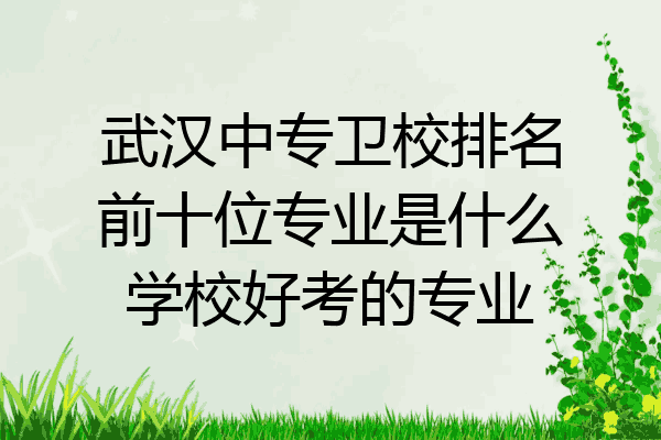 武汉中专卫校排名前十位专业是什么学校好考的专业