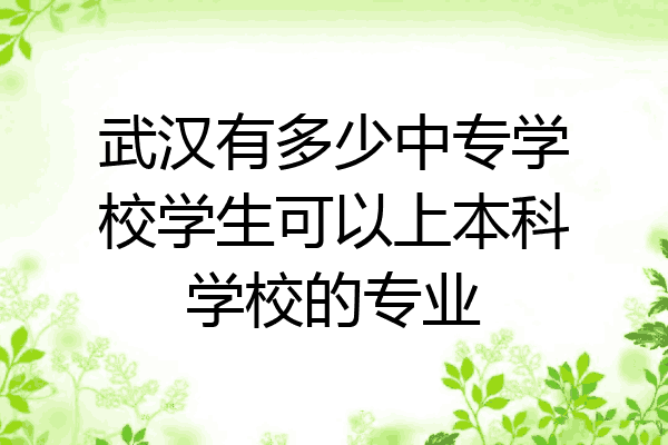 武汉有多少中专学校学生可以上本科学校的专业