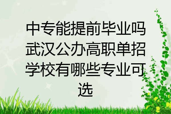 中专能提前毕业吗武汉公办高职单招学校有哪些专业可选