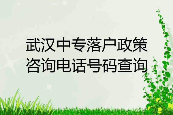 武汉中专落户政策咨询电话号码查询