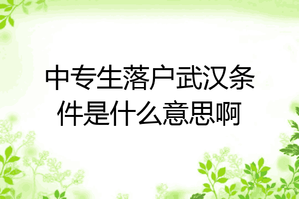 中专生落户武汉条件是什么意思啊