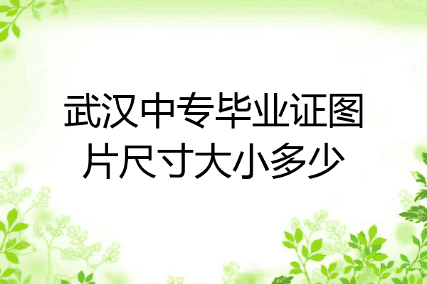 武汉中专毕业证图片尺寸大小多少