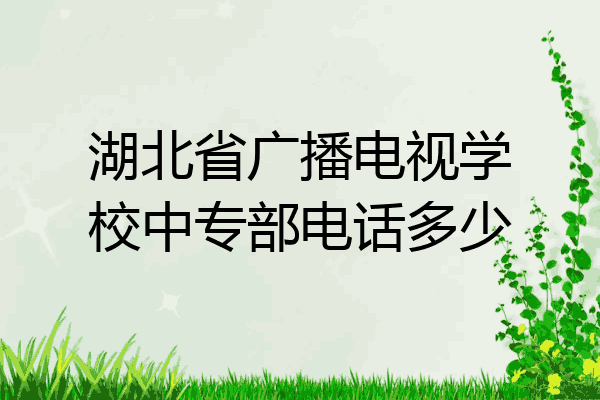 湖北省广播电视学校中专部电话多少