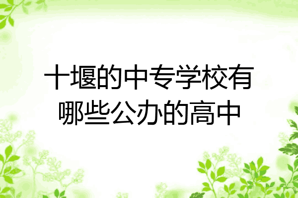 十堰的中专学校有哪些公办的高中