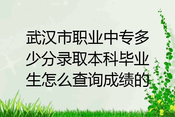 武汉市职业中专多少分录取本科毕业生怎么查询成绩的