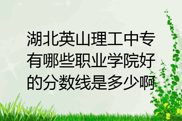 湖北英山理工中专有哪些职业学院好的分数线是多少啊