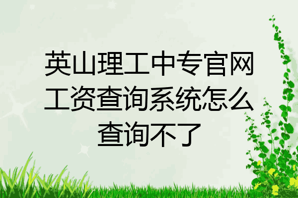英山理工中专官网工资查询系统怎么查询不了