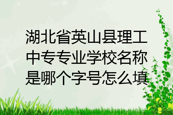 湖北省英山县理工中专专业学校名称是哪个字号怎么填
