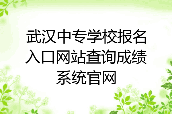 武汉中专学校报名入口网站查询成绩系统官网