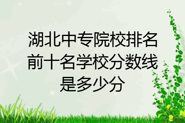 湖北中专院校排名前十名学校分数线是多少分