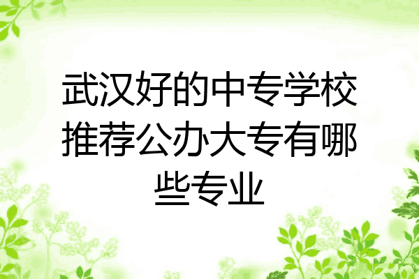 武汉好的中专学校推荐公办大专有哪些专业
