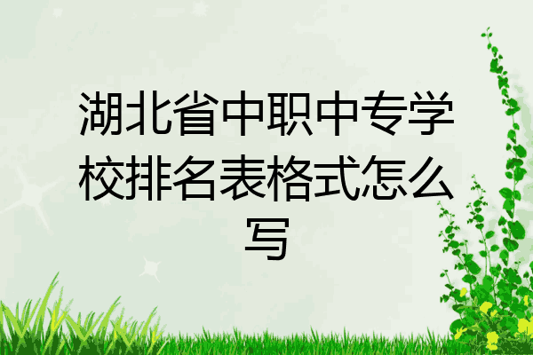 湖北省中职中专学校排名表格式怎么写