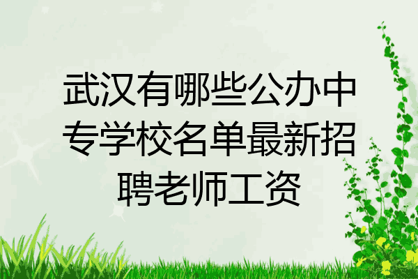武汉有哪些公办中专学校名单最新招聘老师工资