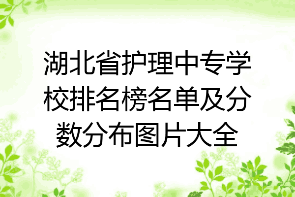 湖北省护理中专学校排名榜名单及分数分布图片大全