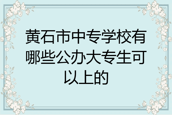 黄石市中专学校有哪些公办大专生可以上的