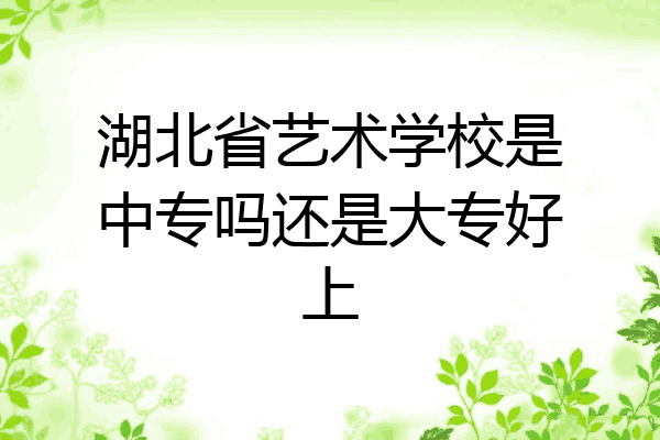 湖北省艺术学校是中专吗还是大专好上