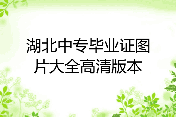 湖北中专毕业证图片大全高清版本