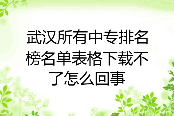 武汉所有中专排名榜名单表格下载不了怎么回事