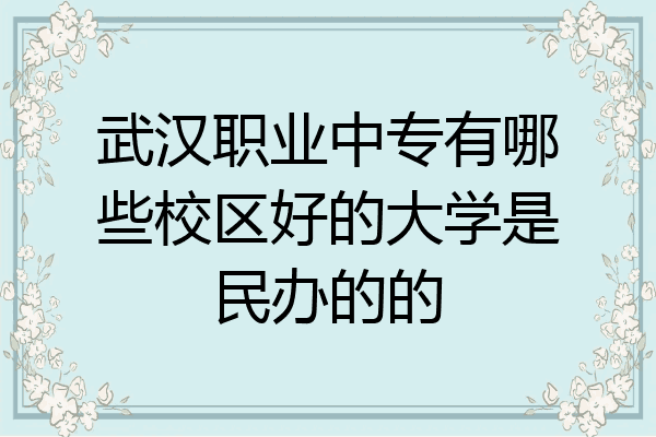 武汉职业中专有哪些校区好的大学是民办的的