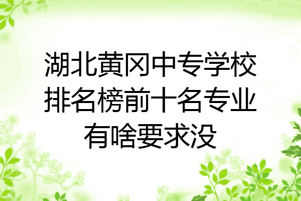湖北黄冈中专学校排名榜前十名专业有啥要求没
