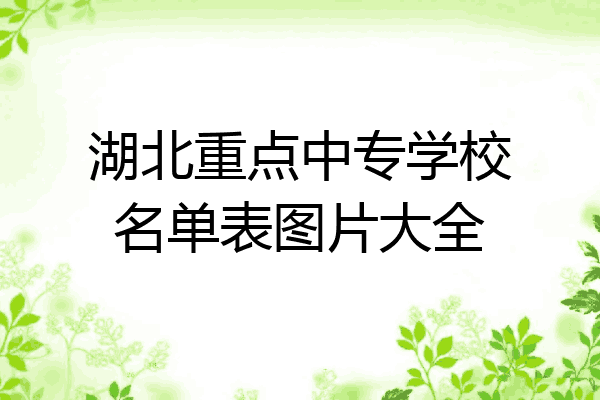 湖北重点中专学校名单表图片大全