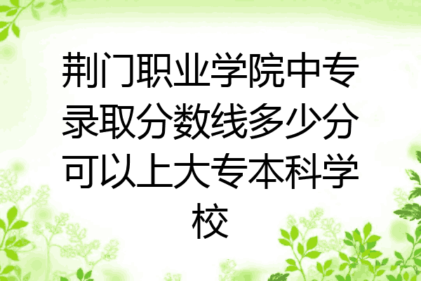 荆门职业学院中专录取分数线多少分可以上大专本科学校