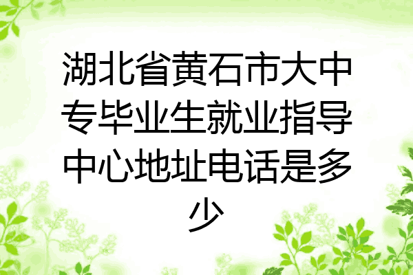 湖北省黄石市大中专毕业生就业指导中心地址电话是多少