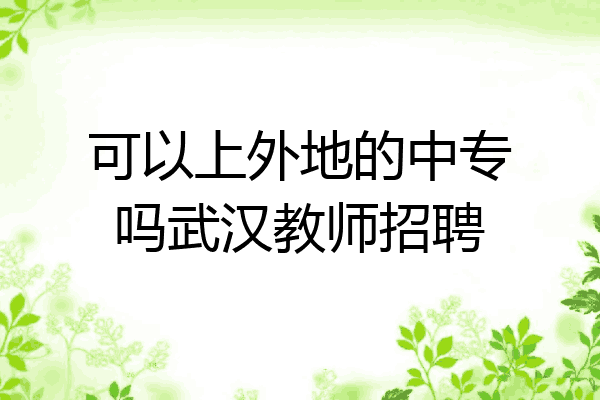 可以上外地的中专吗武汉教师招聘