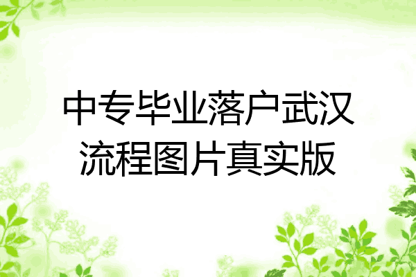 中专毕业落户武汉流程图片真实版
