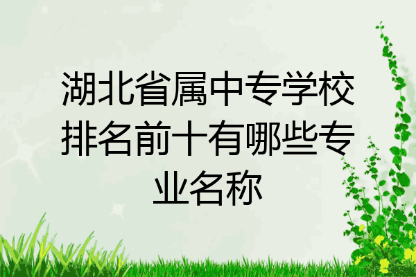 湖北省属中专学校排名前十有哪些专业名称