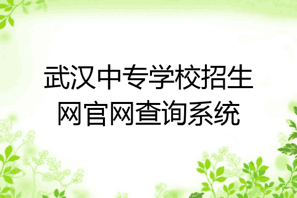 武汉中专学校招生网官网查询系统