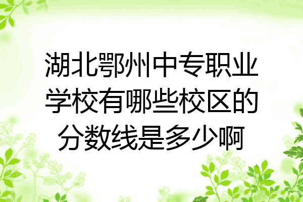 湖北鄂州中专职业学校有哪些校区的分数线是多少啊