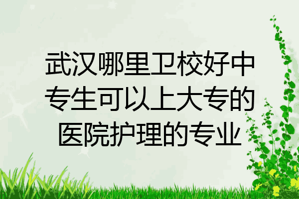 武汉哪里卫校好中专生可以上大专的医院护理的专业