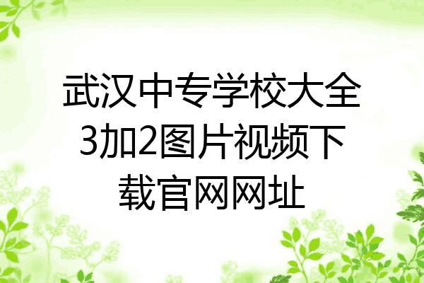 武汉中专学校大全3加2图片视频下载官网网址