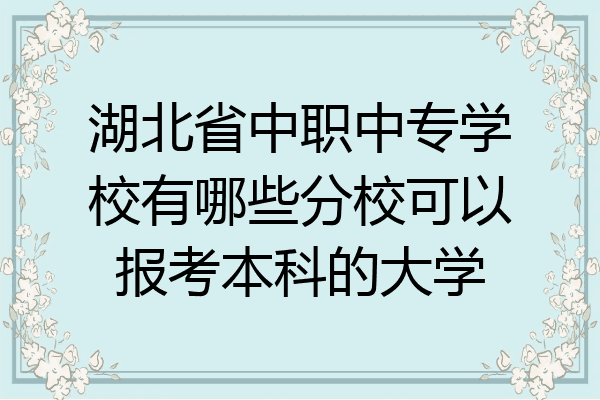 湖北省中职中专学校有哪些分校可以报考本科的大学