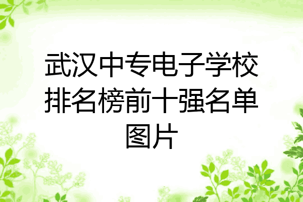 武汉中专电子学校排名榜前十强名单图片