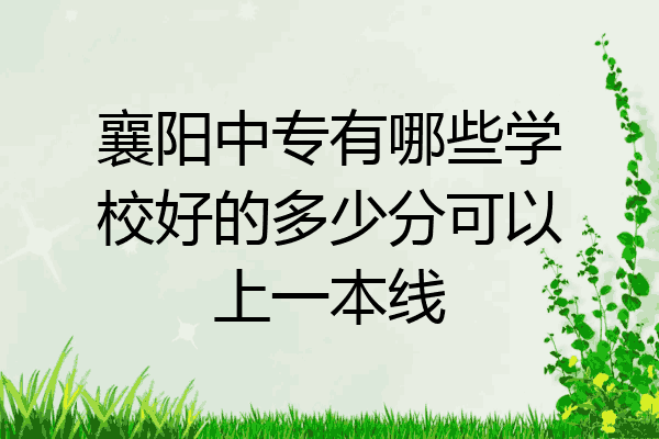 襄阳中专有哪些学校好的多少分可以上一本线