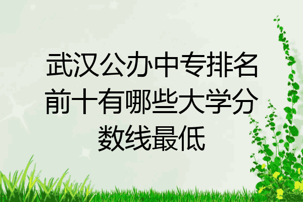 武汉公办中专排名前十有哪些大学分数线最低